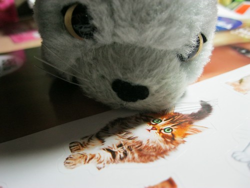 Кошкин дом. Болталка The Cat Collection