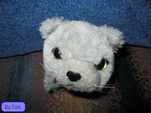 Кошкин дом. Болталка The Cat Collection