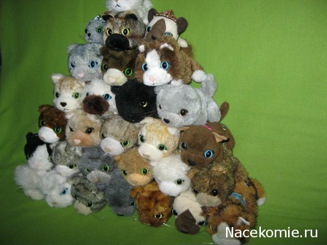 Кошкин дом. Болталка The Cat Collection