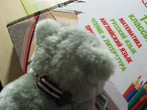 Кошкин дом. Болталка The Cat Collection