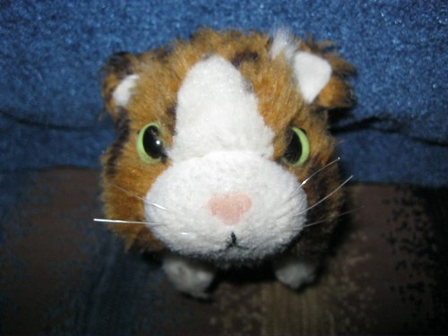 Кошкин дом. Болталка The Cat Collection