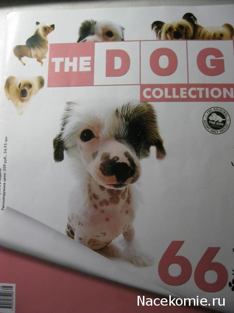 The Dog Collection №66 Китайская хохлатая собака