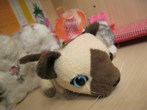 Кошкин дом. Болталка The Cat Collection