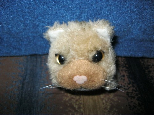 Кошкин дом. Болталка The Cat Collection