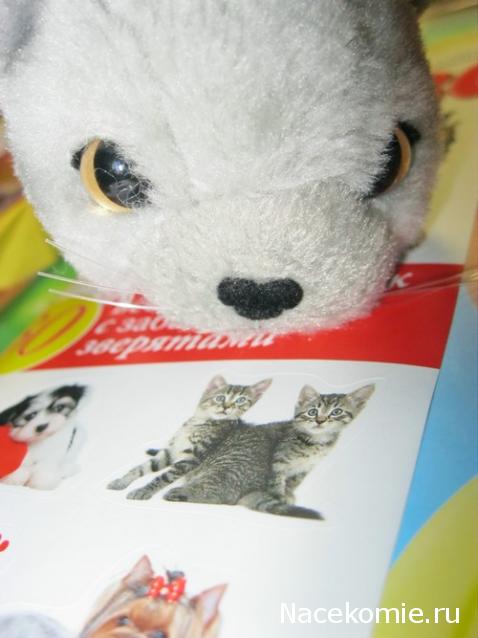 Кошкин дом. Болталка The Cat Collection