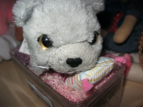 Кошкин дом. Болталка The Cat Collection