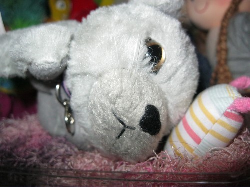 Кошкин дом. Болталка The Cat Collection