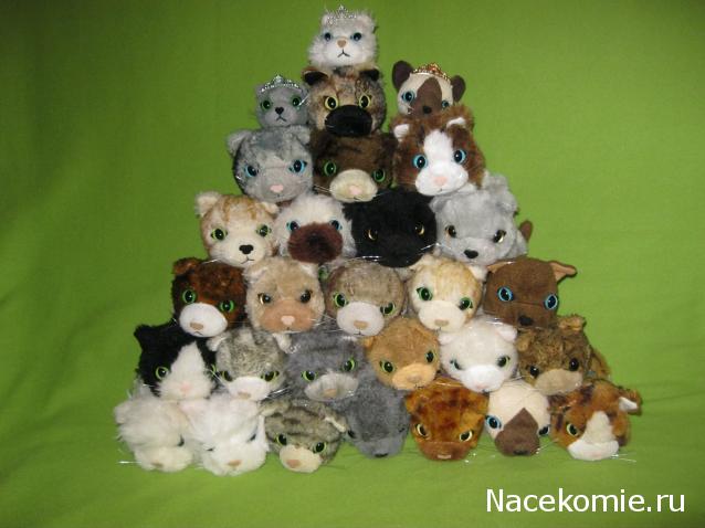 Кошкин дом. Болталка The Cat Collection