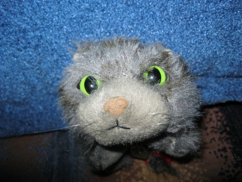 Кошкин дом. Болталка The Cat Collection