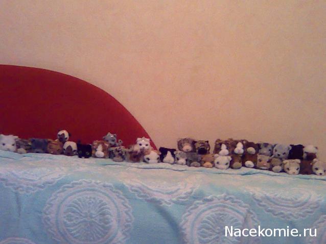 Кошкин дом. Болталка The Cat Collection