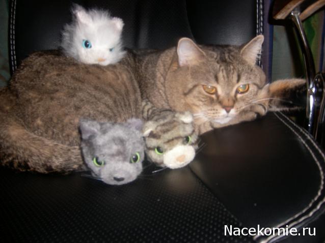 The Cat Collection № 3 Русская голубая Фото