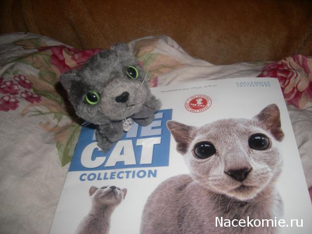 The Cat Collection № 3 Русская голубая Фото