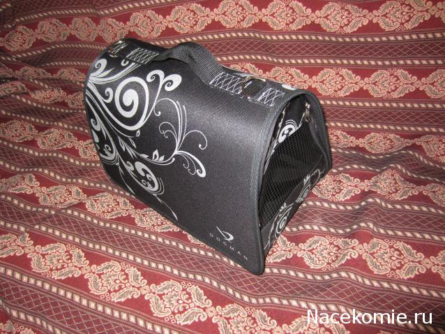 CTB-фантазии