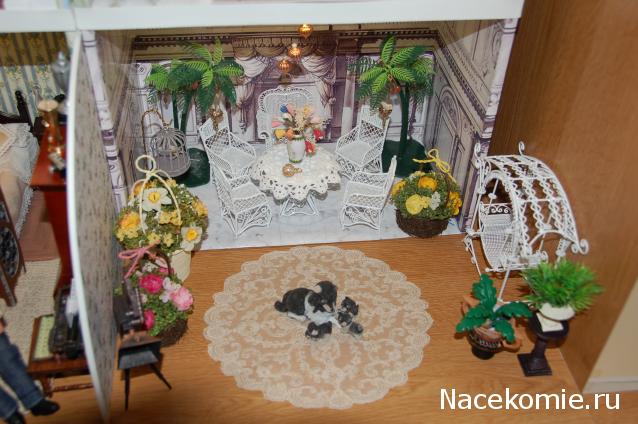 Pola - мечты сбываются