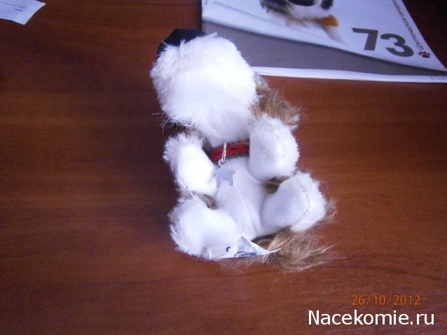 The Dog Collection №73 Шелти