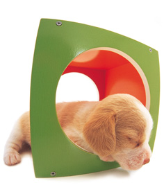 The Dog Collection Болталка