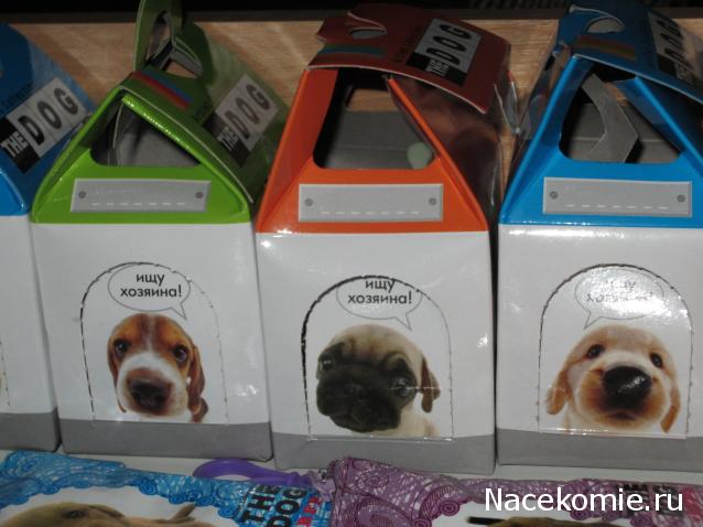 The Dog Collection Болталка