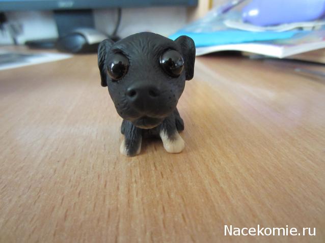 The Dog Collection Болталка