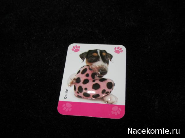 The Dog Collection Болталка