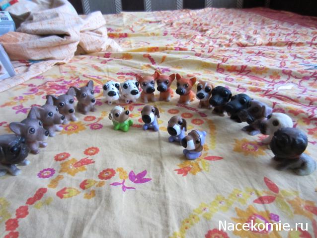 The Dog Collection Болталка