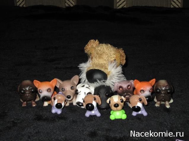 The Dog Collection Болталка