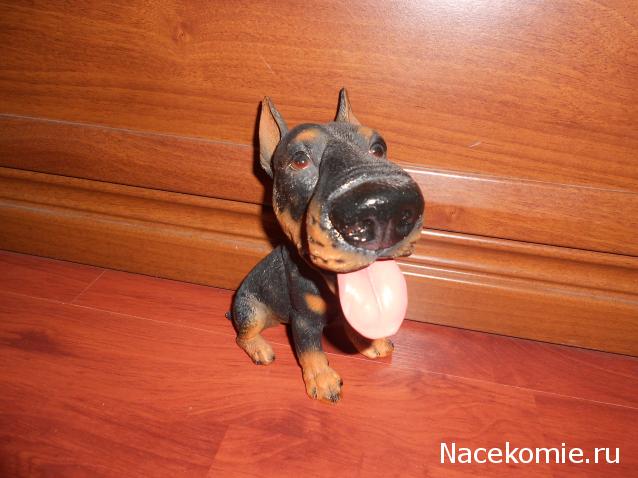 The Dog Collection Болталка