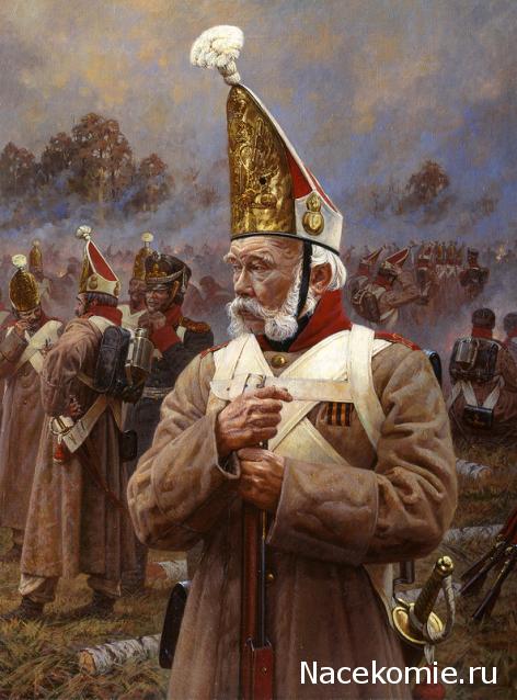 Вопросы к Александру Чернушкину