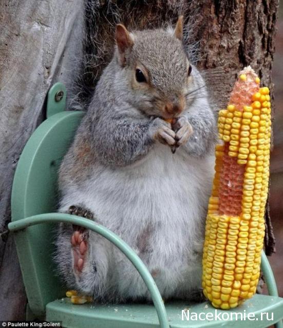Дом Мечты Болталка: перезагрузка