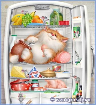 Дом Мечты Болталка: перезагрузка