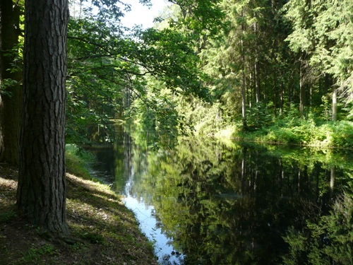 Мой любимый город или дорогие сердцу места