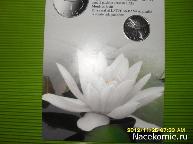 Nata