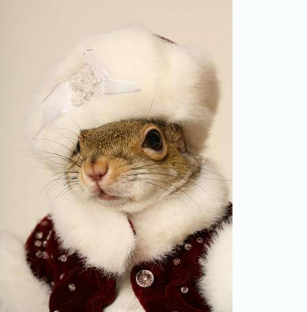 Дом Мечты Болталка: перезагрузка