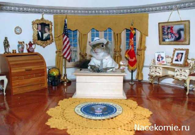 Дом Мечты Болталка: перезагрузка