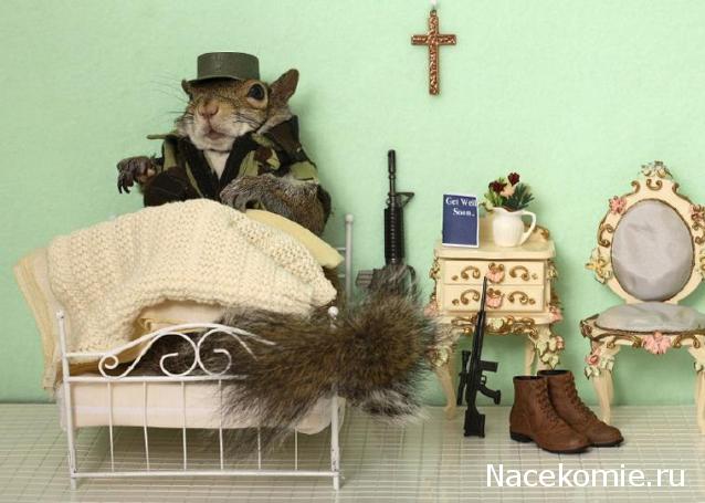 Дом Мечты Болталка: перезагрузка