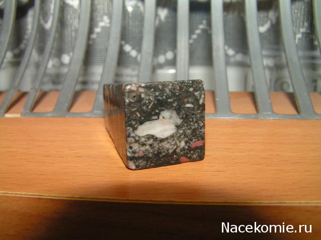 Энергия камней № 90 Криноидный известняк (обелиск) фото, обсуждение