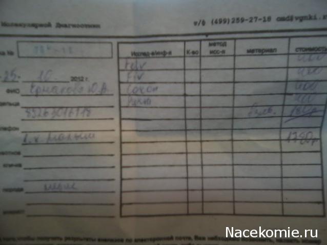Помощь бездомным животным