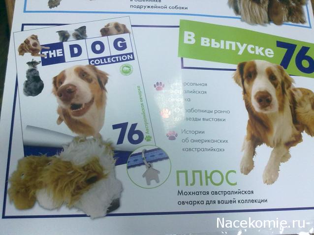 The Dog Collection №74 Английский мастиф