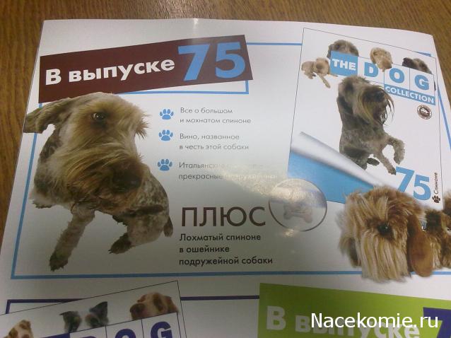 The Dog Collection №74 Английский мастиф