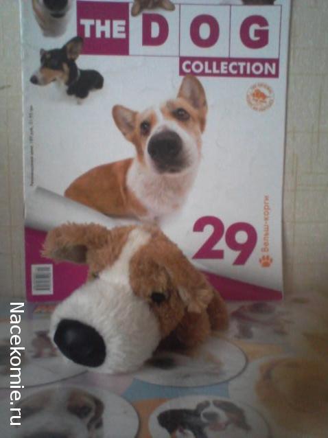 The Dog Collection №29 Вельш Корги Пемброк