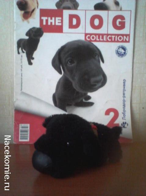 The Dog Collection №2 Лабрадор-ретривер