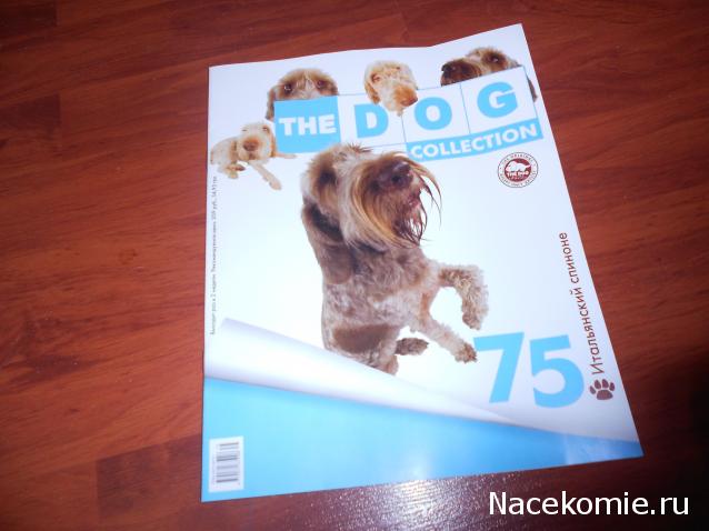 The Dog Collection №75 Спиноне