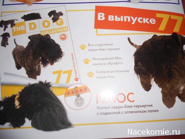 The Dog Collection №75 Спиноне