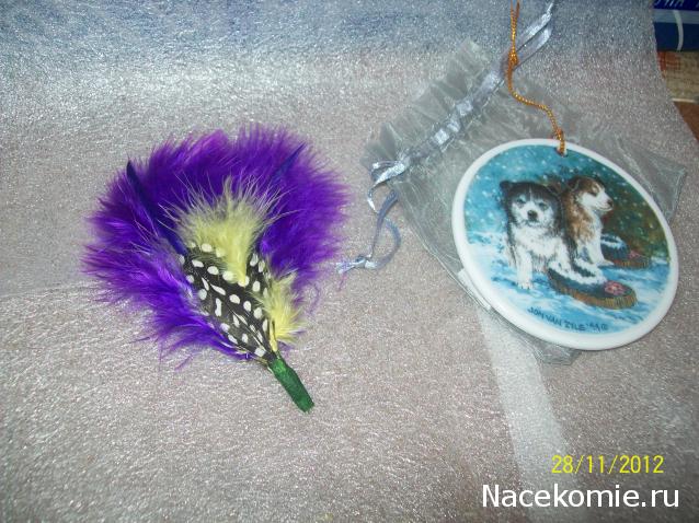 Дом Мечты и Новогодний Санта