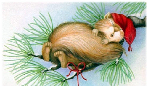 Дом Мечты Болталка: перезагрузка