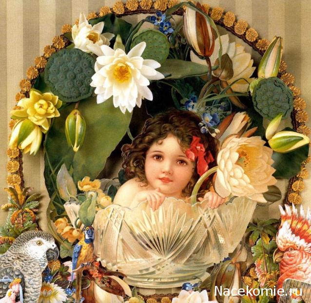 Дом Мечты наши дни рождения