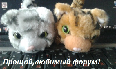 Кошкин дом. Болталка The Cat Collection