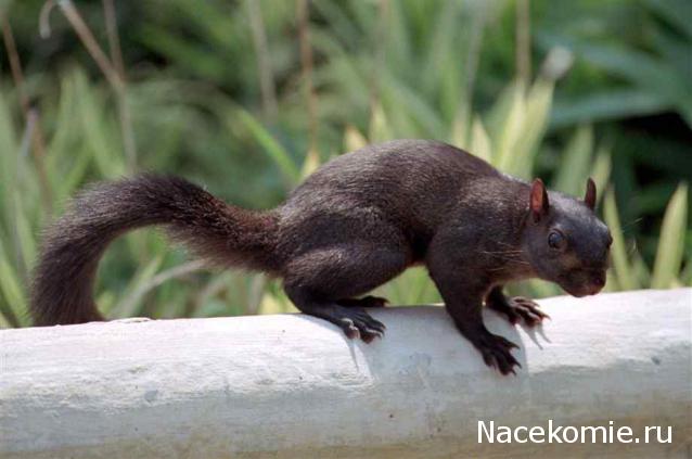 Дом Мечты Болталка: перезагрузка