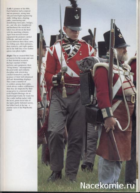 Наполеоновские Войны - График выхода и обсуждение