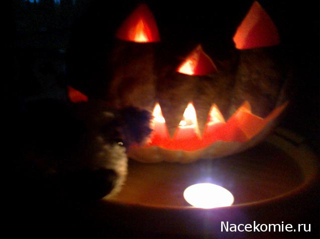 The Dog Collection Болталка