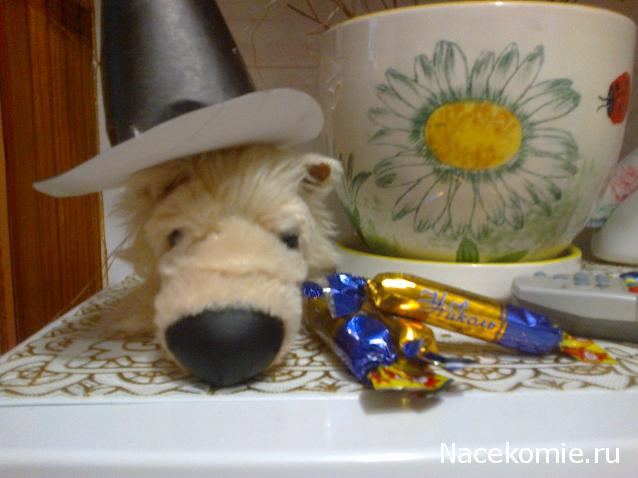 The Dog Collection Болталка